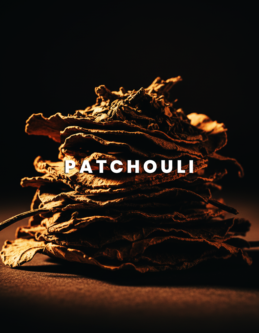 Salaar: The Bold Fragrance by Jabeens | Trusted by 34,000+ scent lovers in UAE.