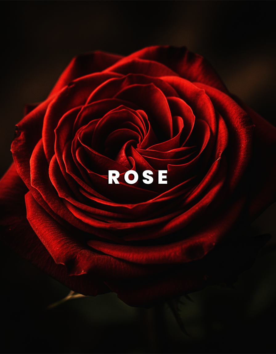 Salaar: The Bold Fragrance by Jabeens | Trusted by 34,000+ scent lovers in UAE.