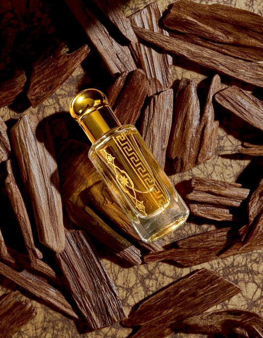 Salaar: The Bold Fragrance by Jabeens | Trusted by 34,000+ scent lovers in UAE.
