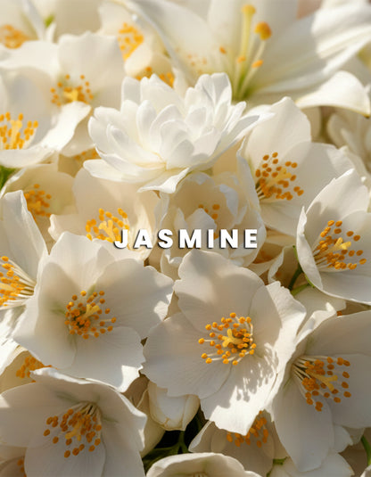 White Musk – Pure & Soft Fragrance for Women